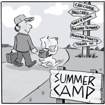 Dog summer camp cartoon