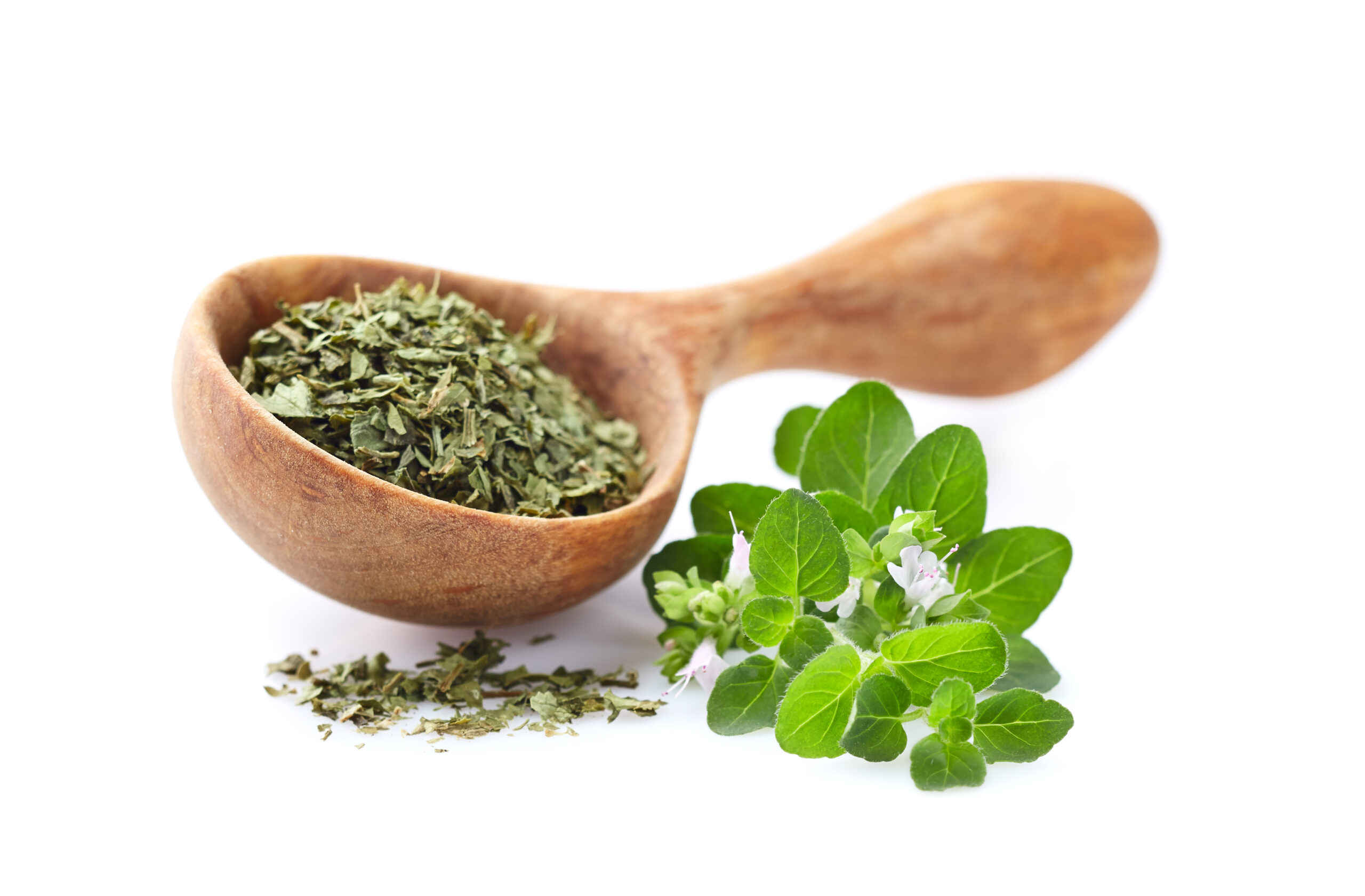 Featured image for “Is Oregano Safe for Your Dog?”
